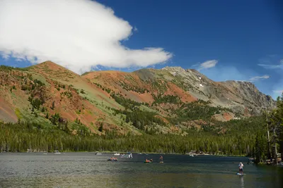 DSC_0023 (Large).JPG